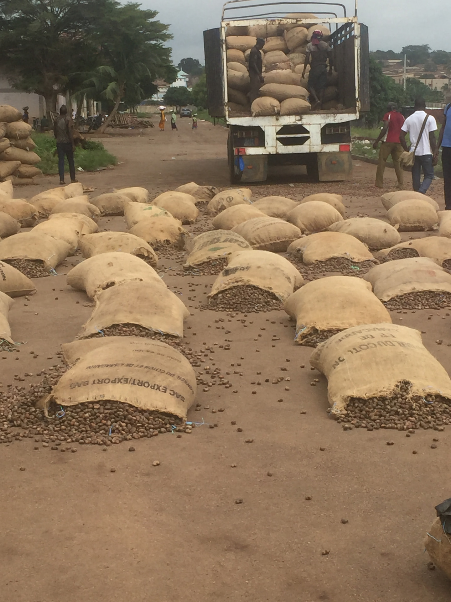 Sacs de noix de cajou chargés sur un camion