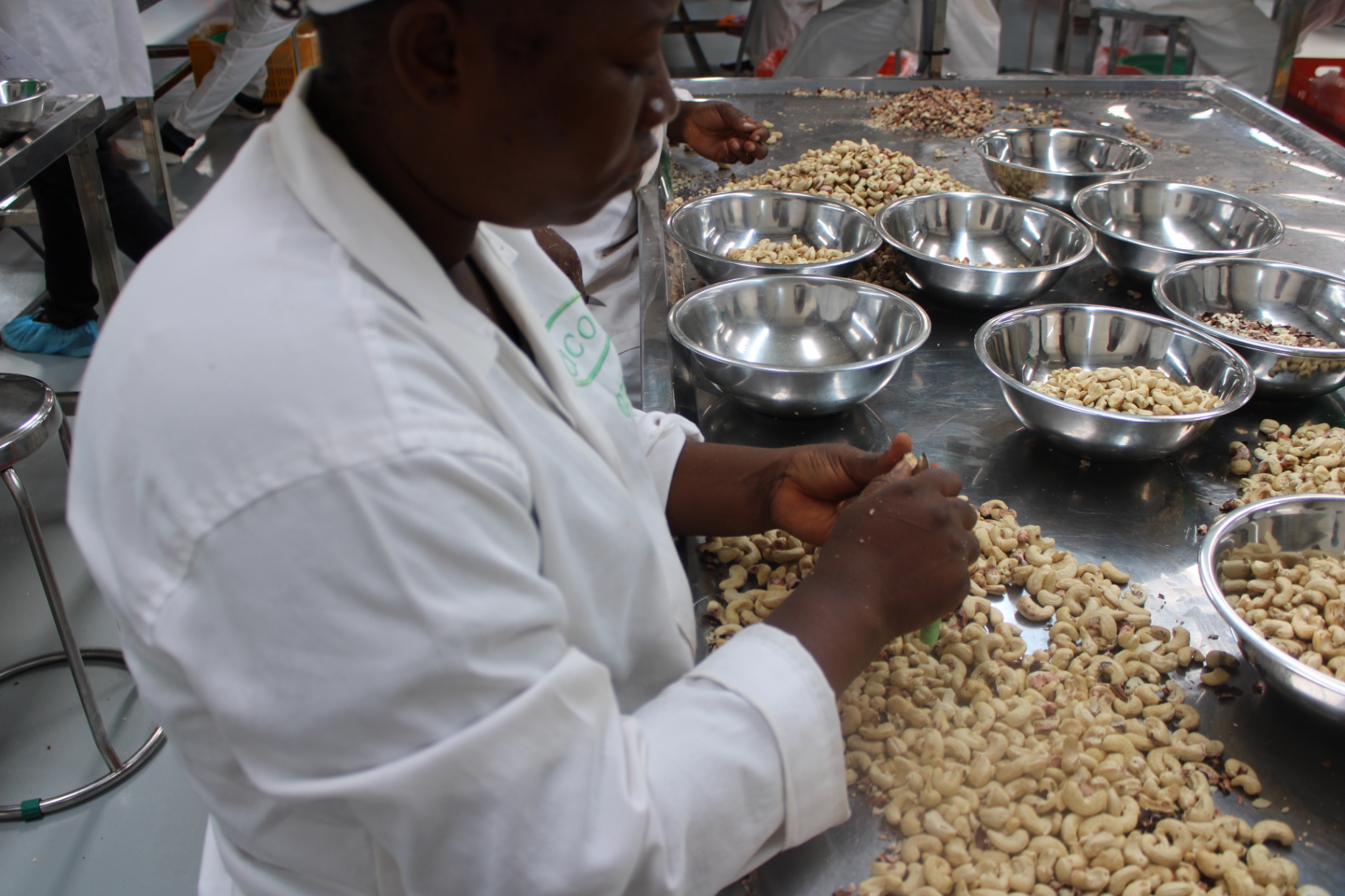 Femme triant minutieusement des amandes décortiquées sur une table inox